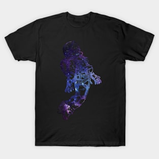 Tales From Another Dimension (Spaceman) T-Shirt